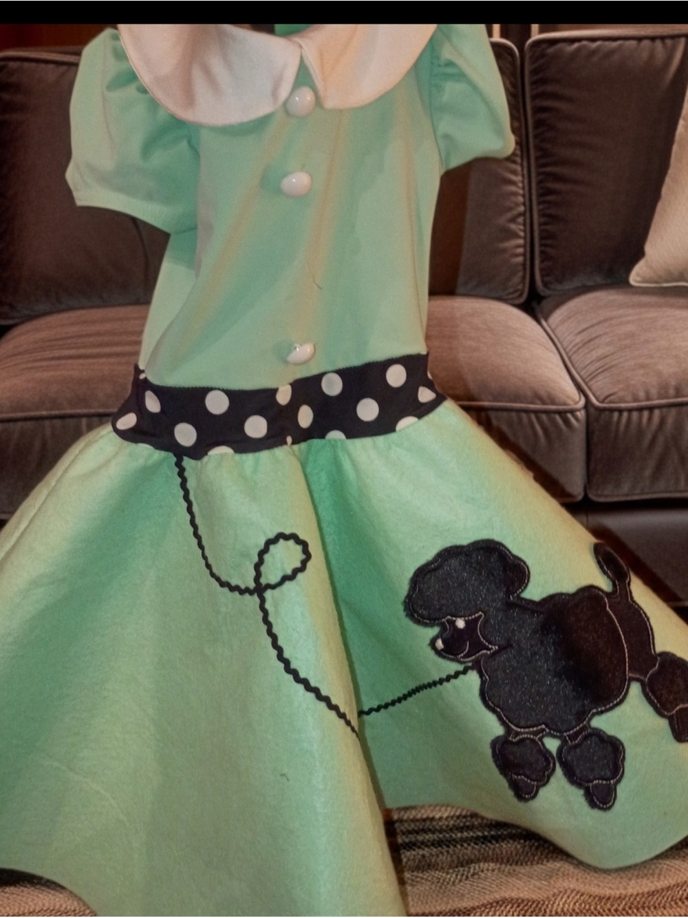 Mint Green Poodle Swing Kids Costume Dress